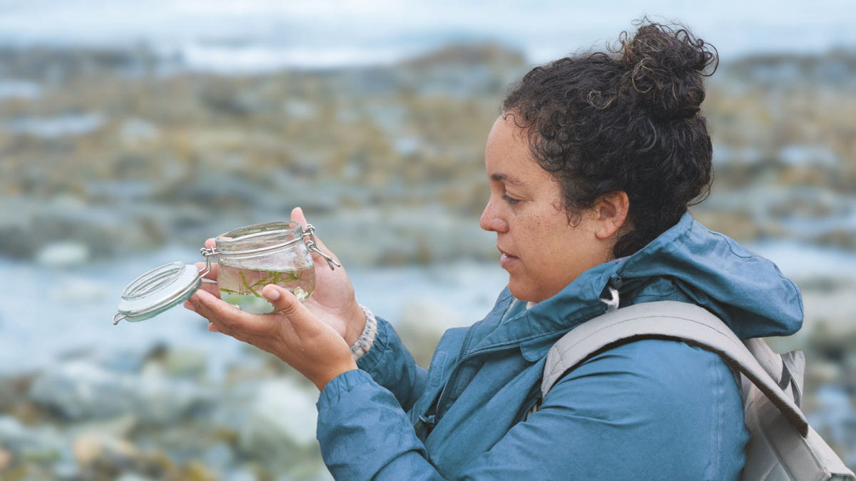 A woman interested in marine biology studies a jar containing a rock pool sample, Environmental and agricultural research, Microbiome, Foundation, Sample Technologies
